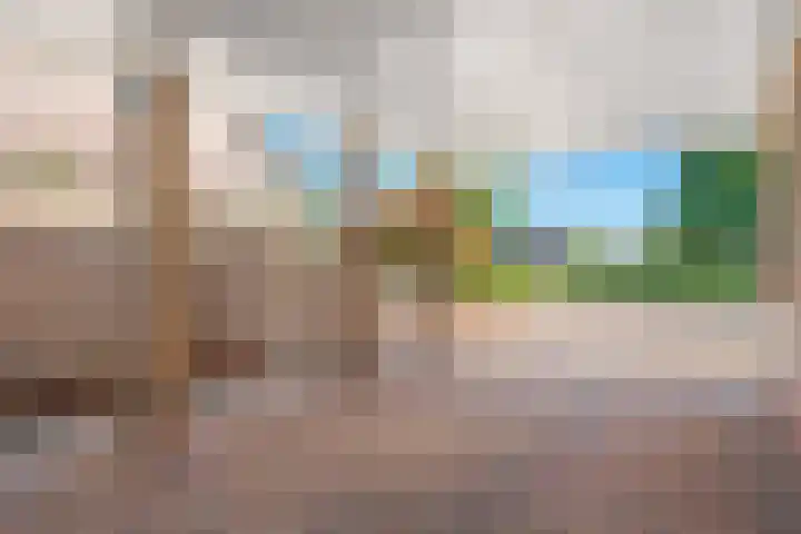 Nieuwewijk 73 Dedemsvaart thumbnail 64