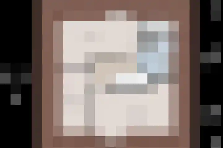 Nieuwewijk 73 Dedemsvaart thumbnail 66