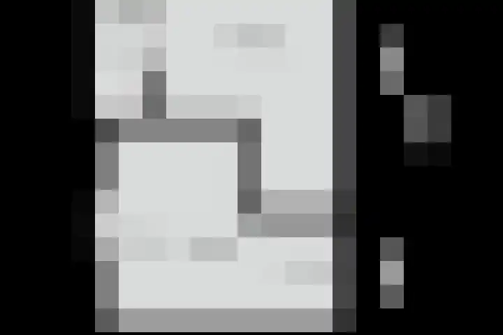 Nieuwewijk 73 Dedemsvaart thumbnail 68