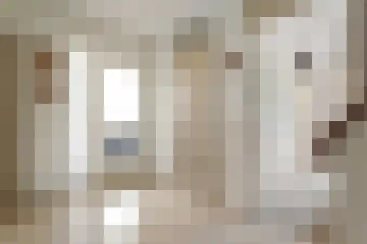 Nieuwewijk 73 Dedemsvaart thumbnail 8