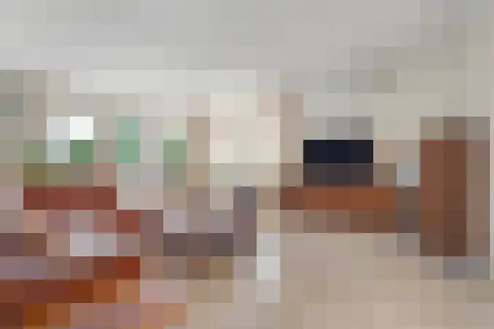 Nieuwewijk 73 Dedemsvaart thumbnail 9