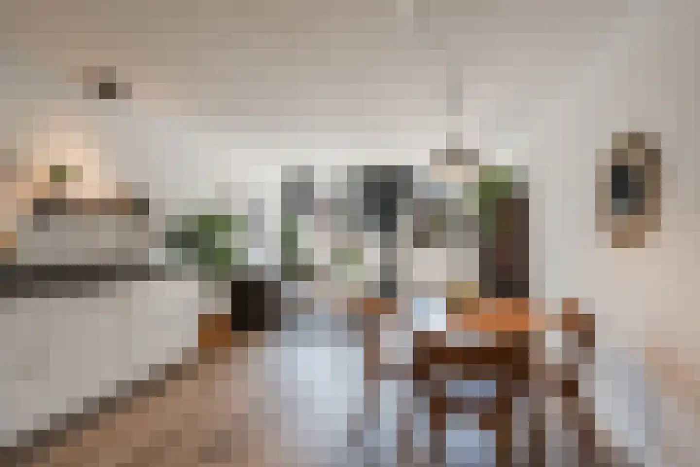 Nieuwezijds Armsteeg 19 Amsterdam thumbnail 6