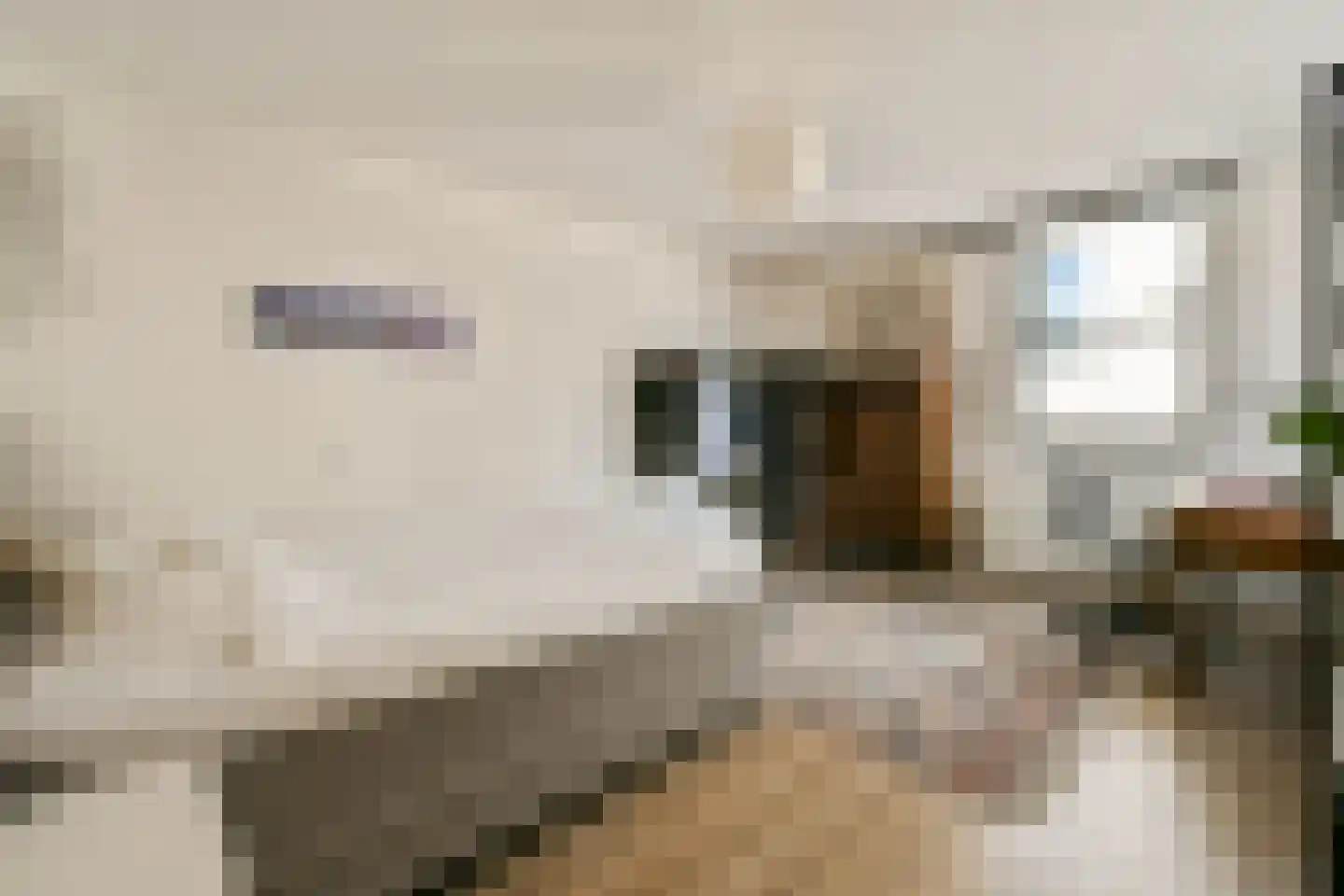 Nieuwezijds Armsteeg 91 Amsterdam thumbnail 12