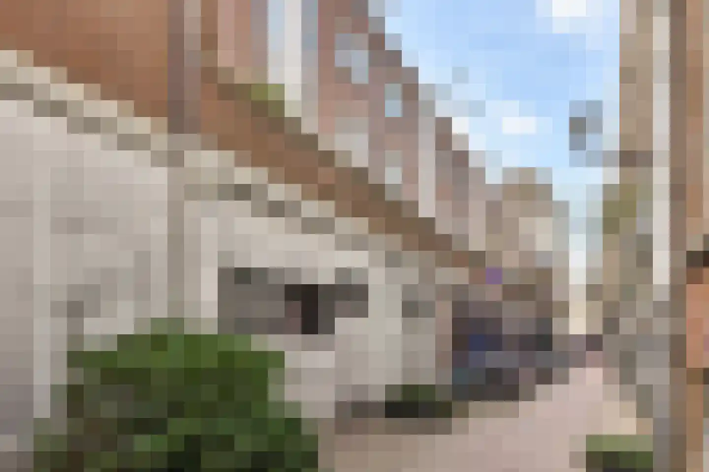 Nieuwezijds Armsteeg 91 Amsterdam thumbnail 23