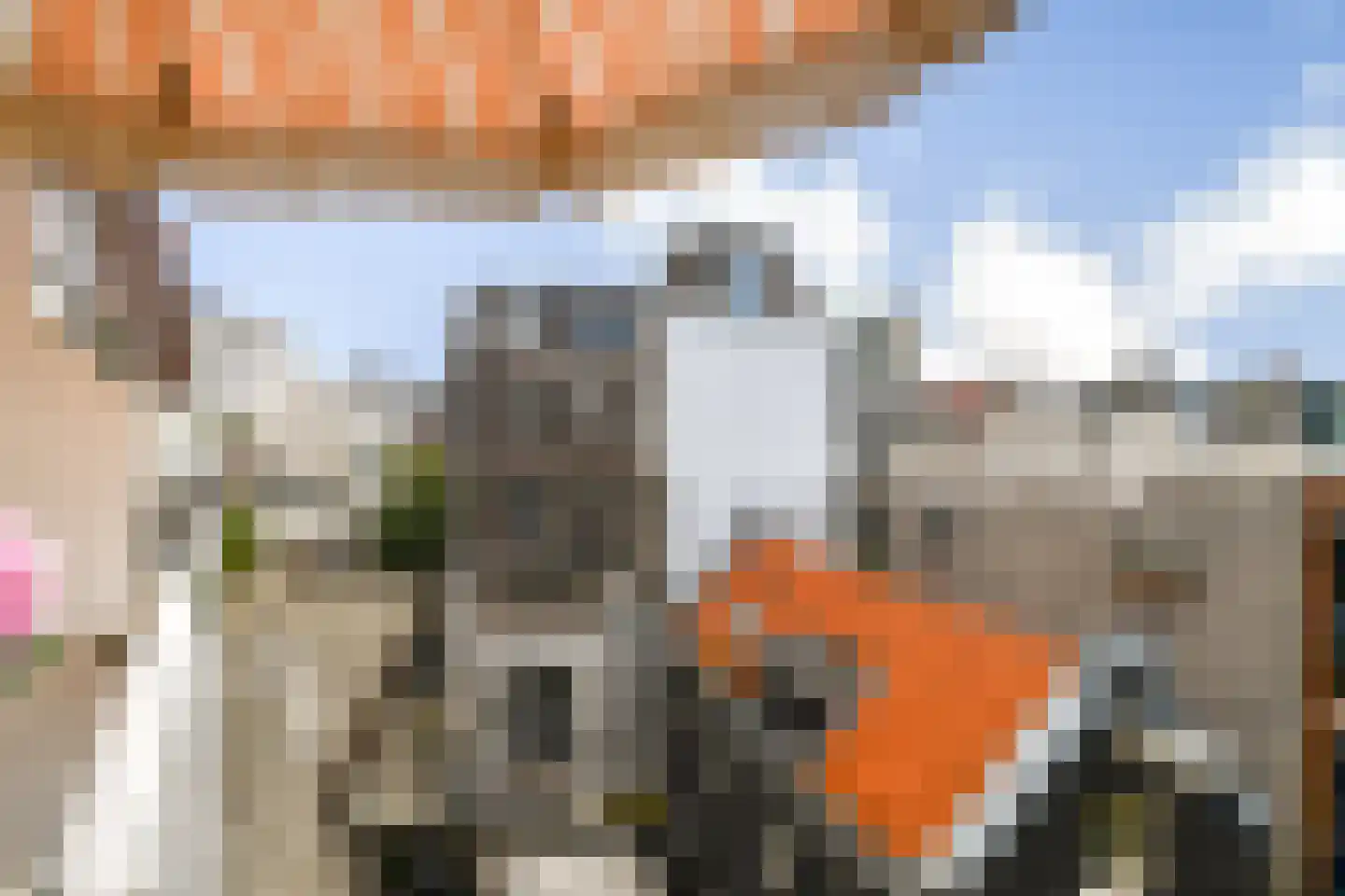 Nieuwezijds Armsteeg 91 Amsterdam thumbnail 8