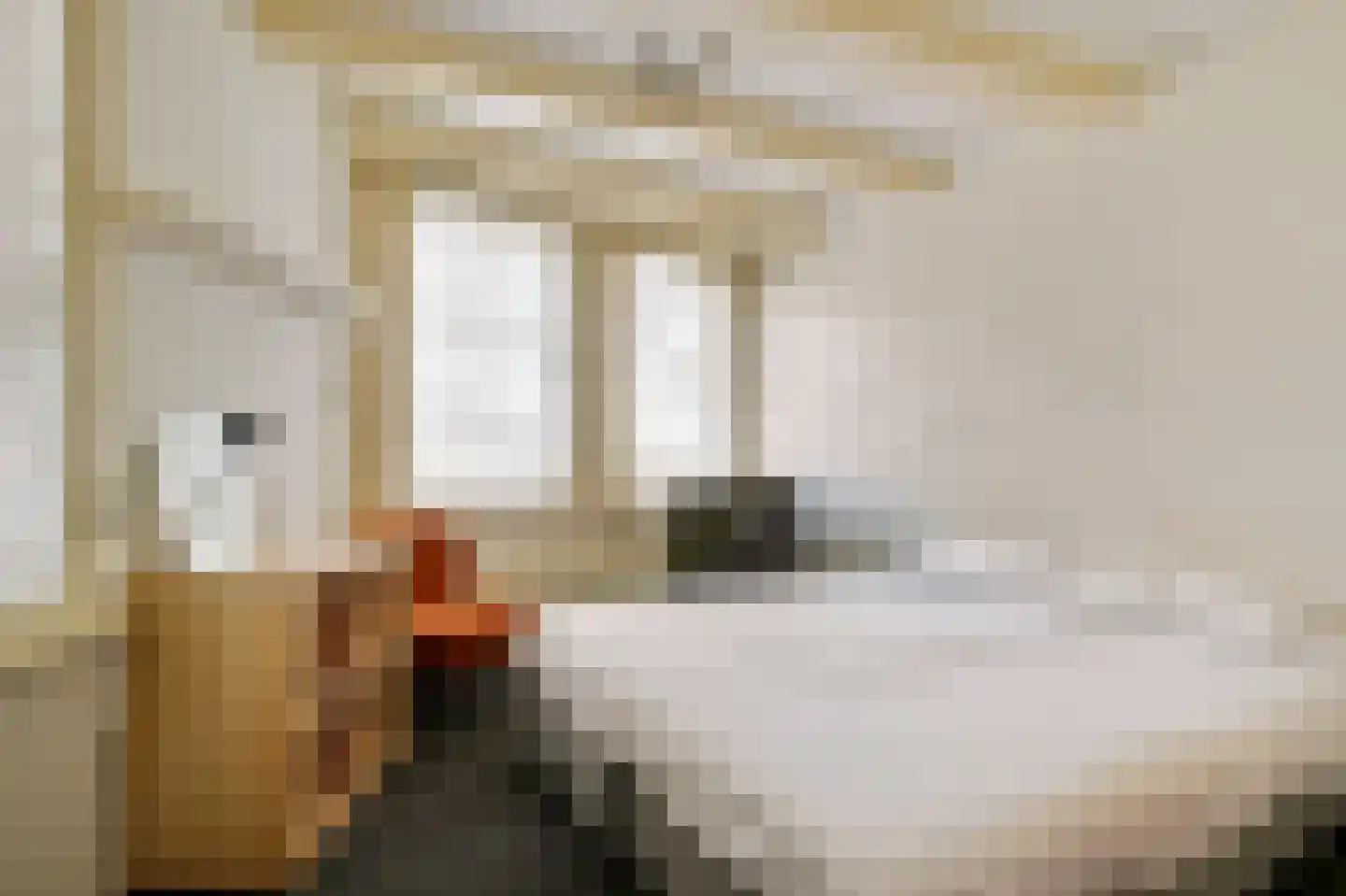 Nieuwezijds Kolk 33 2 Amsterdam thumbnail 12