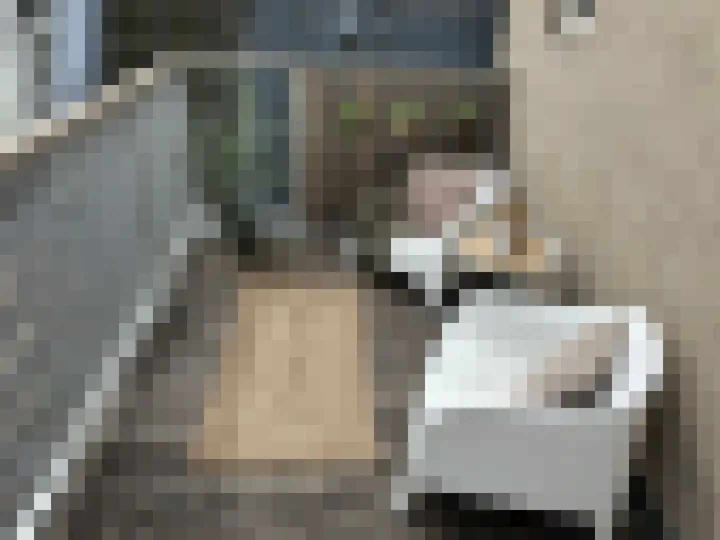 Nieuwezijds Voorburgwal 152 L Amsterdam thumbnail 28