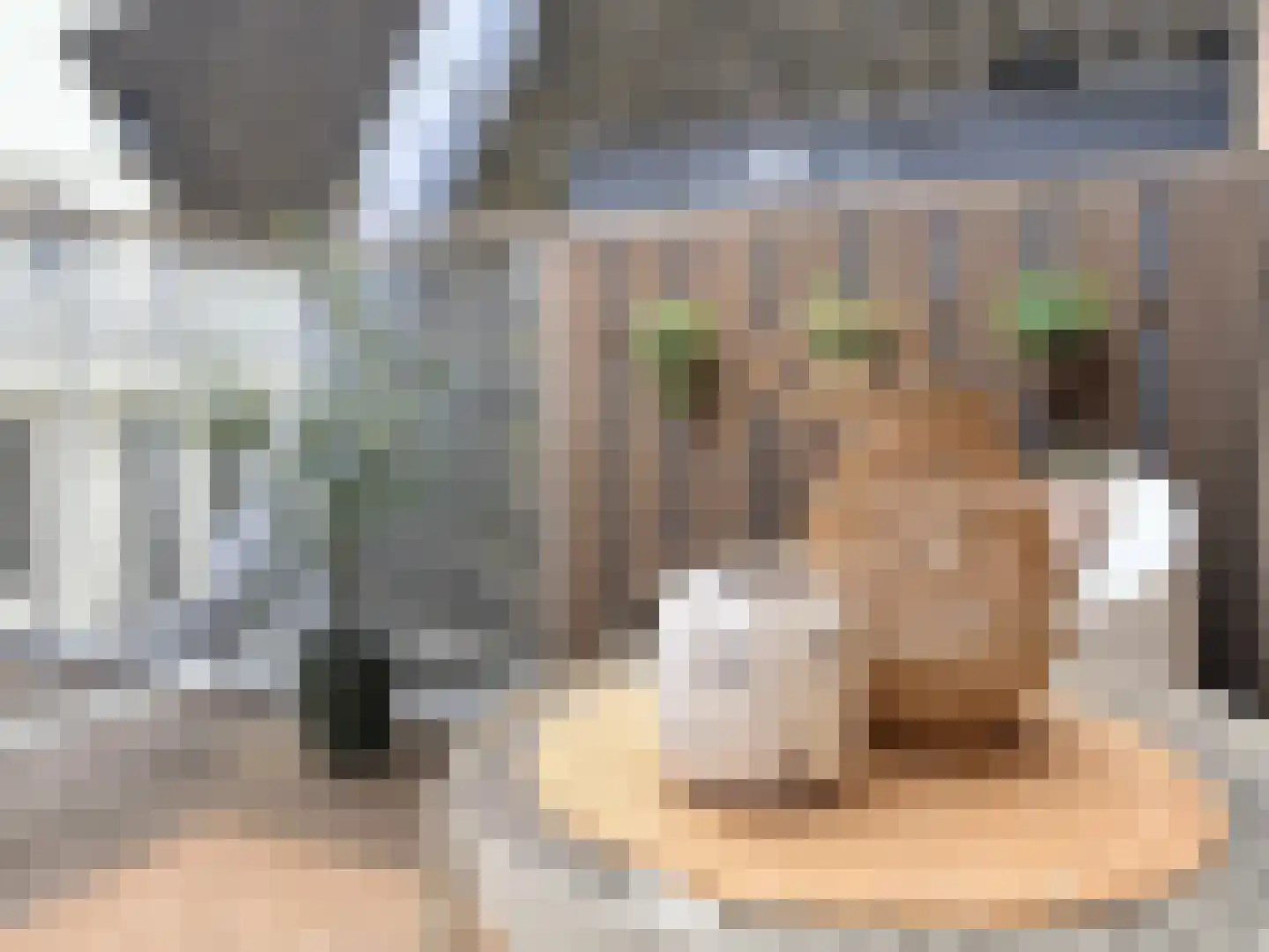 Nieuwezijds Voorburgwal 152 L Amsterdam thumbnail 29