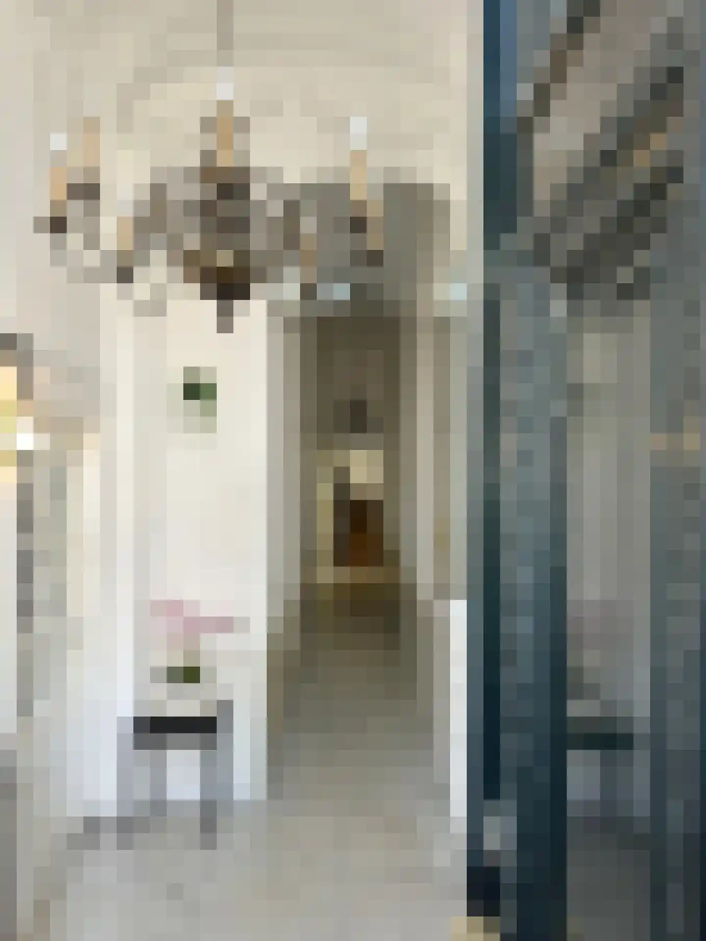 Nieuwezijds Voorburgwal 152 L Amsterdam thumbnail 34