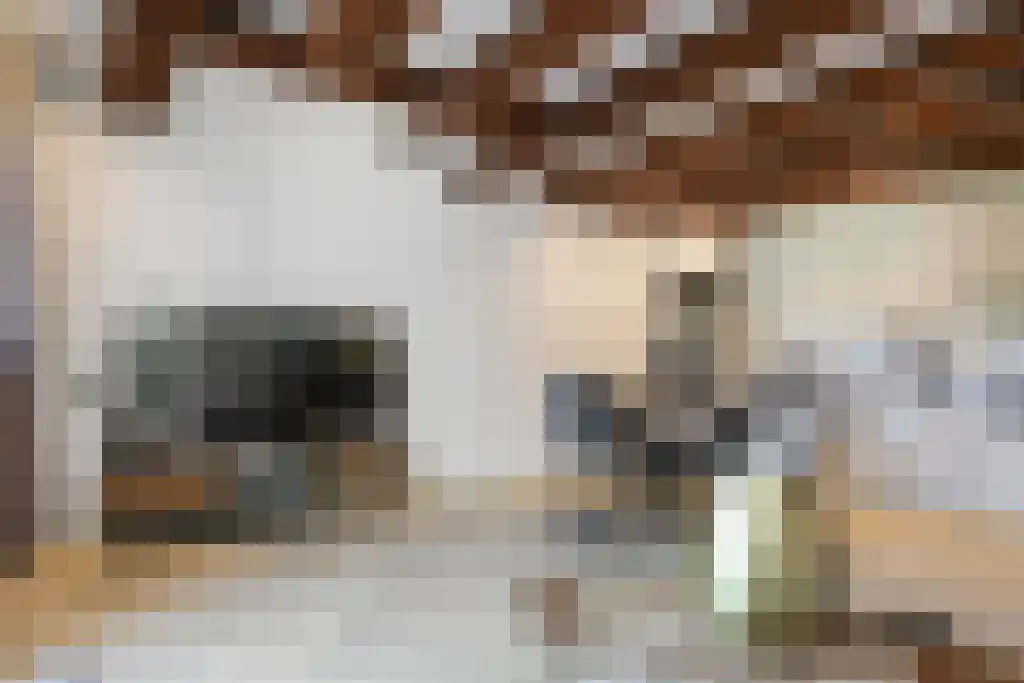 Nieuwezijds Voorburgwal 18 Amsterdam thumbnail 4