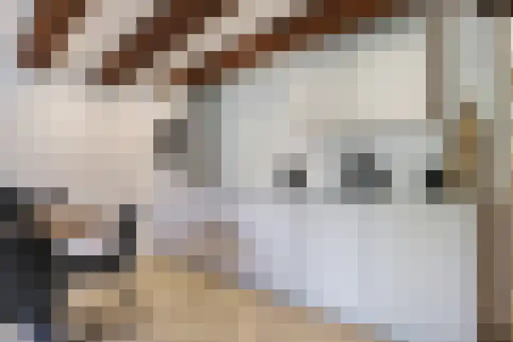 Nieuwezijds Voorburgwal 18 Amsterdam thumbnail 6