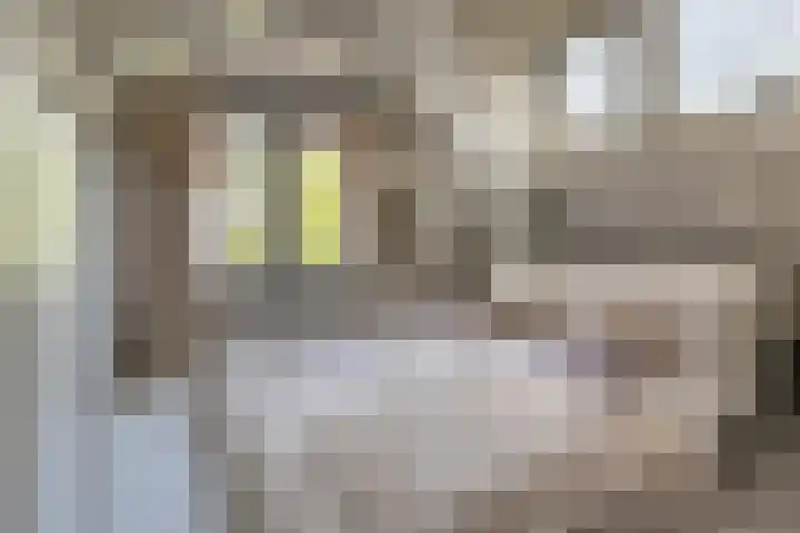 Nieuwezijds Voorburgwal 20 C Amsterdam thumbnail 15