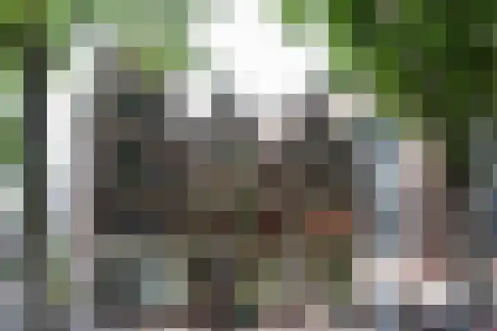 Nieuwezijds Voorburgwal 20 C Amsterdam thumbnail 23