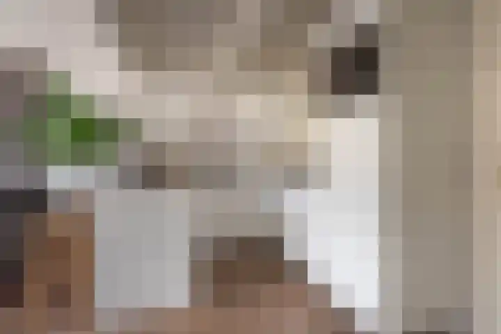 Nieuwezijds Voorburgwal 20 C Amsterdam thumbnail 8