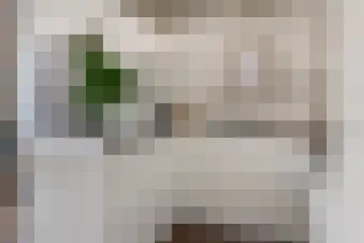 Nieuwezijds Voorburgwal 20 C Amsterdam thumbnail 9