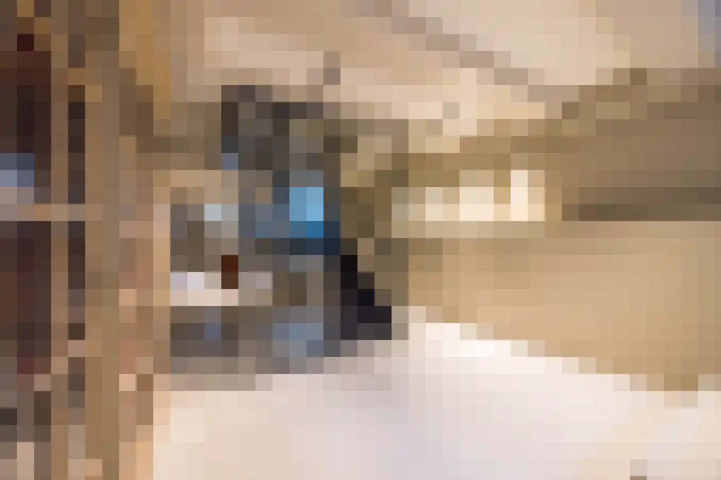 Nieuwezijds Voorburgwal 284 Amsterdam thumbnail 15