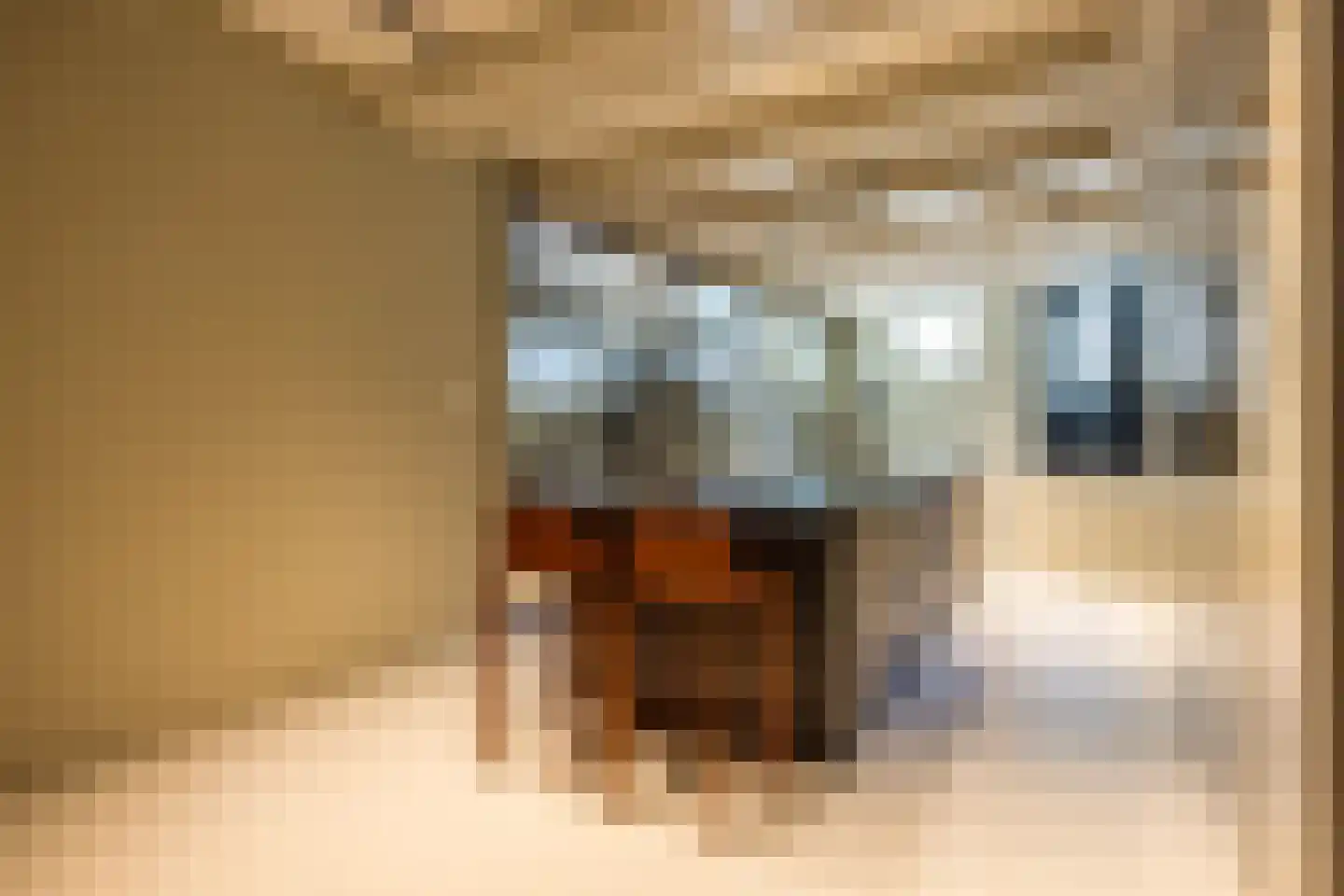 Nieuwezijds Voorburgwal 284 Amsterdam thumbnail 17