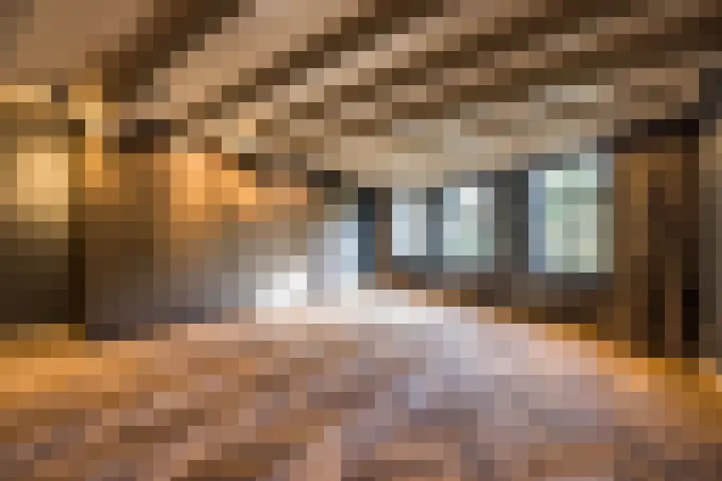 Nieuwezijds Voorburgwal 284 Amsterdam thumbnail 31