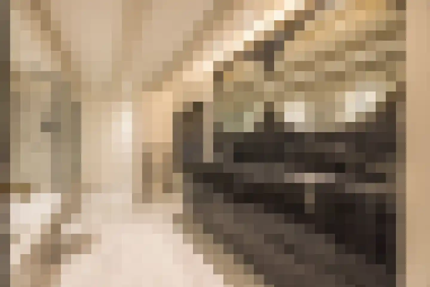 Nieuwezijds Voorburgwal 284 Amsterdam thumbnail 37