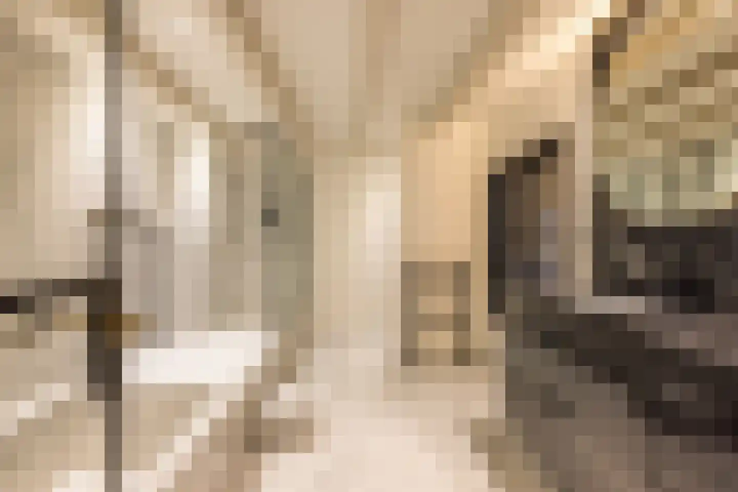 Nieuwezijds Voorburgwal 284 Amsterdam thumbnail 38
