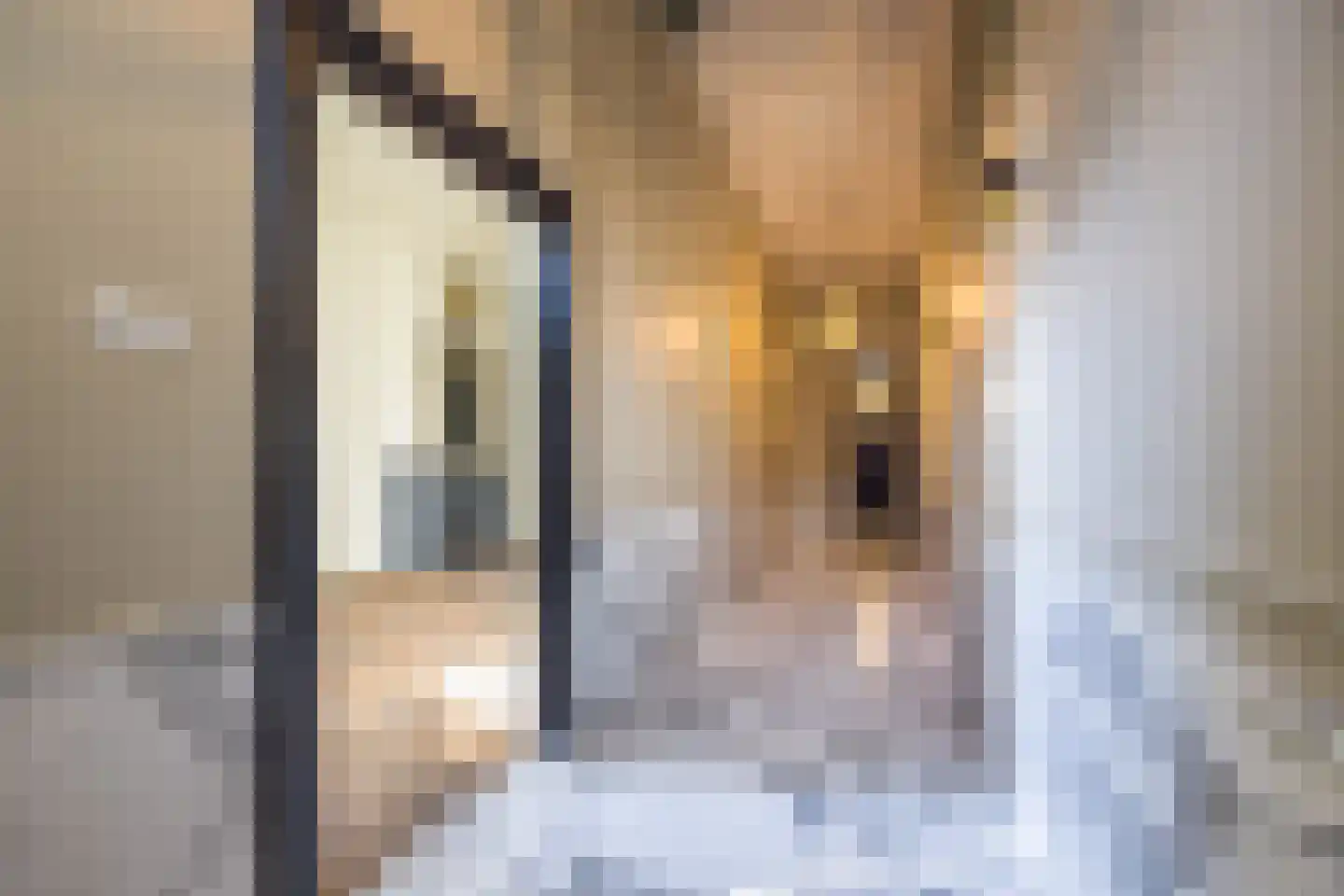 Nieuwezijds Voorburgwal 284 Amsterdam thumbnail 5