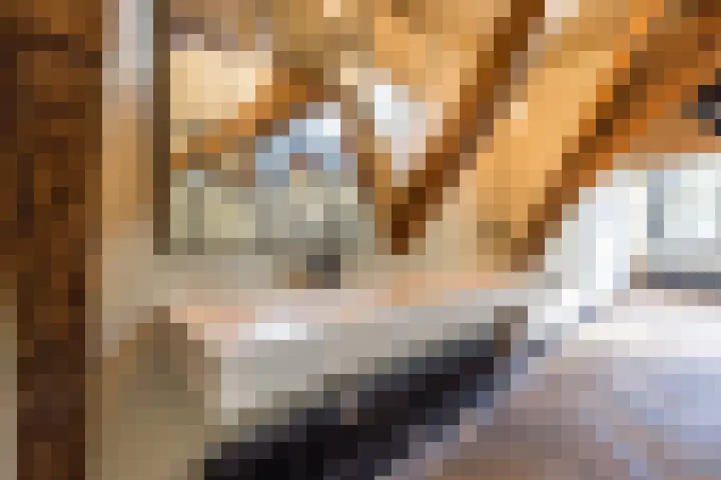 Nieuwezijds Voorburgwal 284 Amsterdam thumbnail 52