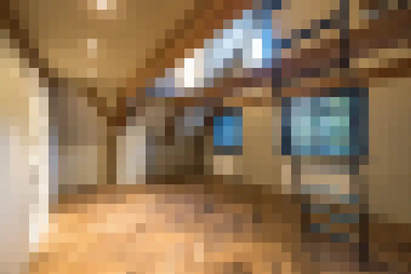 Nieuwezijds Voorburgwal 284 Amsterdam thumbnail 57