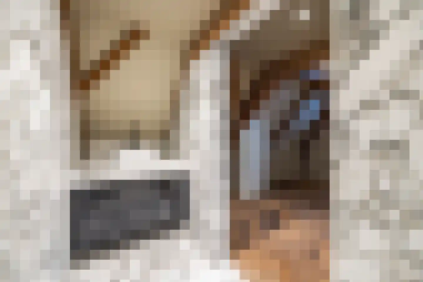 Nieuwezijds Voorburgwal 284 Amsterdam thumbnail 61