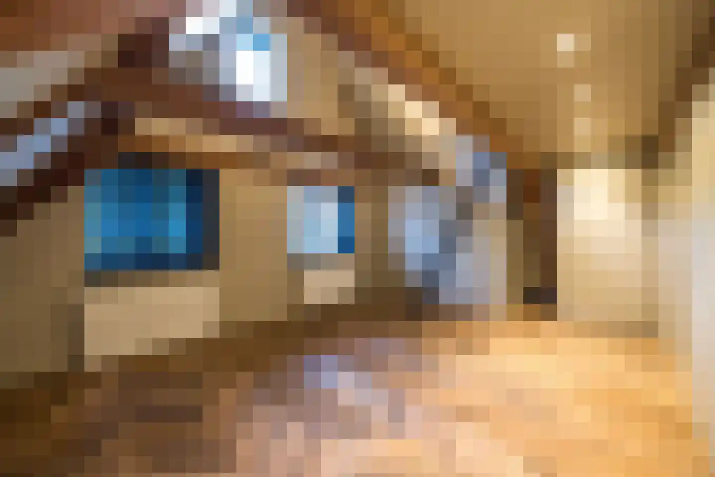 Nieuwezijds Voorburgwal 284 Amsterdam thumbnail 62