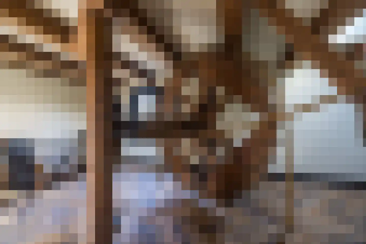 Nieuwezijds Voorburgwal 284 Amsterdam thumbnail 68