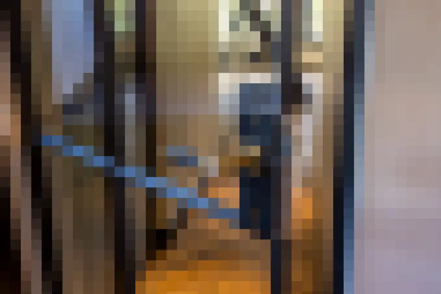 Nieuwezijds Voorburgwal 284 Amsterdam thumbnail 69