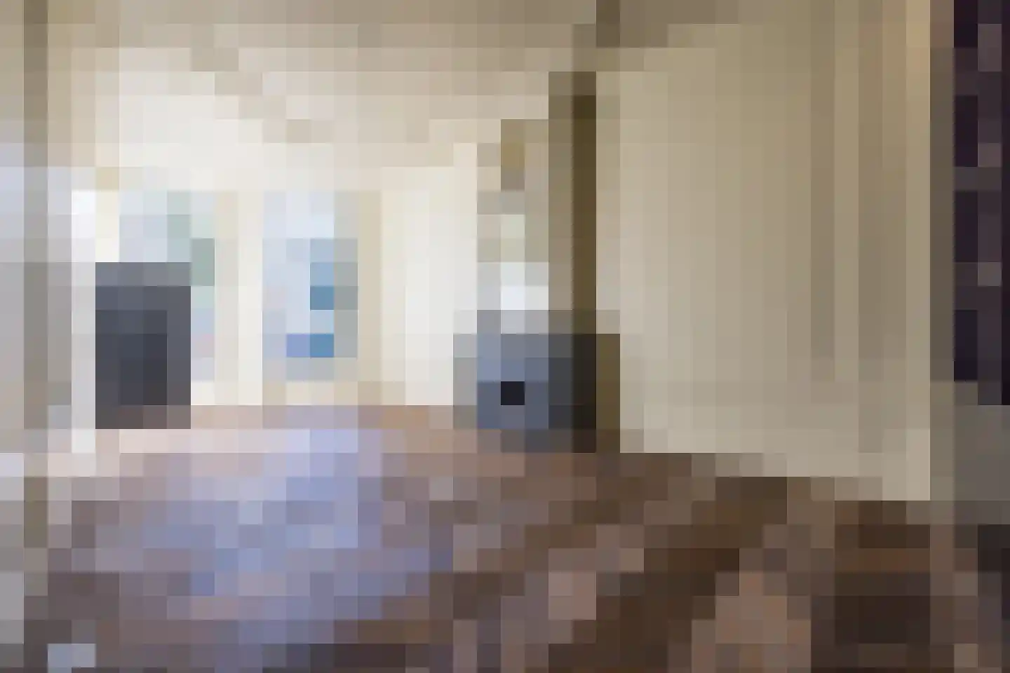 Nieuwezijds Voorburgwal 284 Amsterdam thumbnail 8