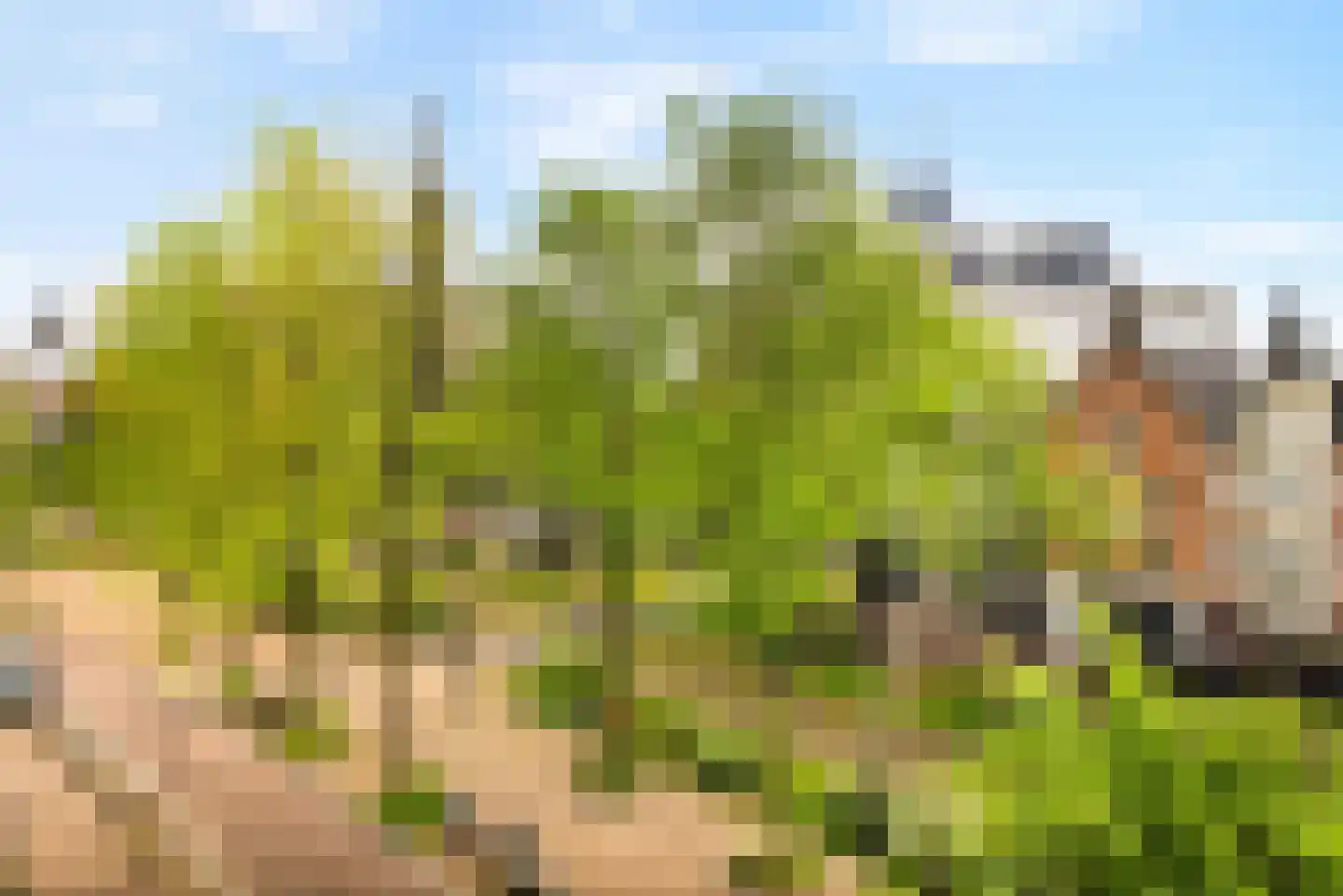 Nieuwezijds Voorburgwal 290 3 Amsterdam thumbnail 32