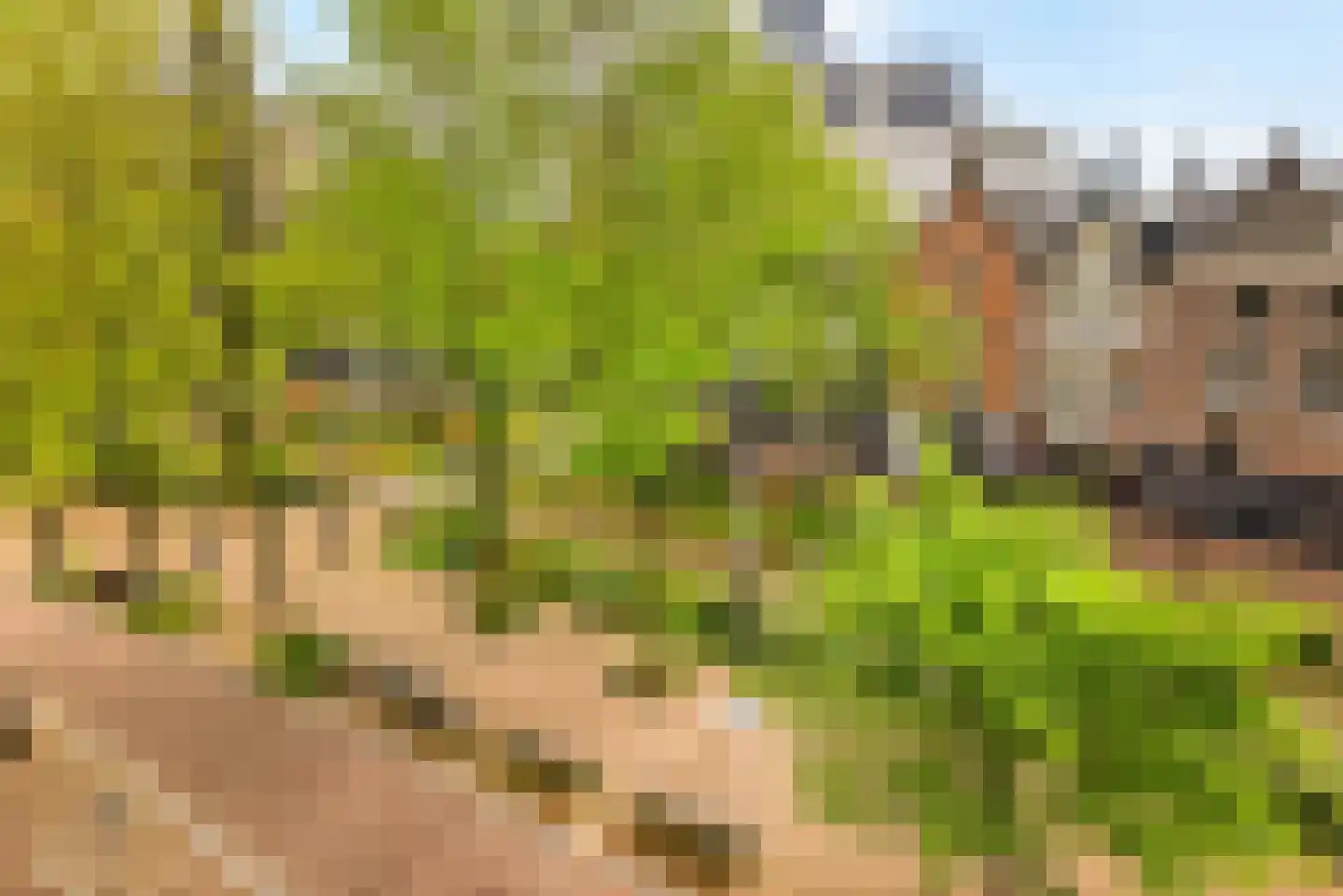Nieuwezijds Voorburgwal 290 3 Amsterdam thumbnail 33