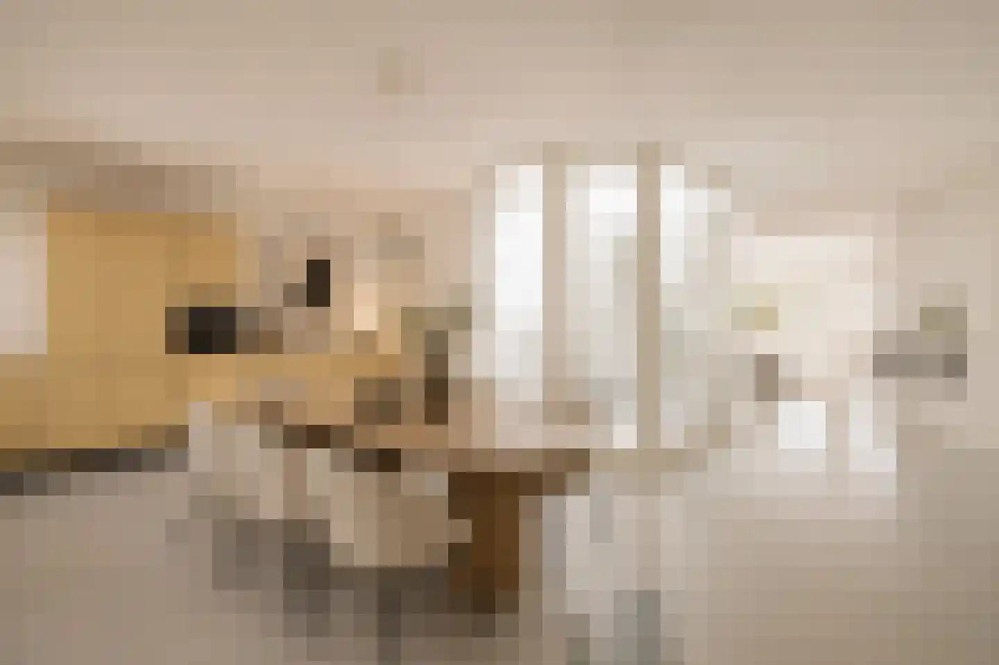 Nieuwezijds Voorburgwal 294 1 Amsterdam thumbnail 10