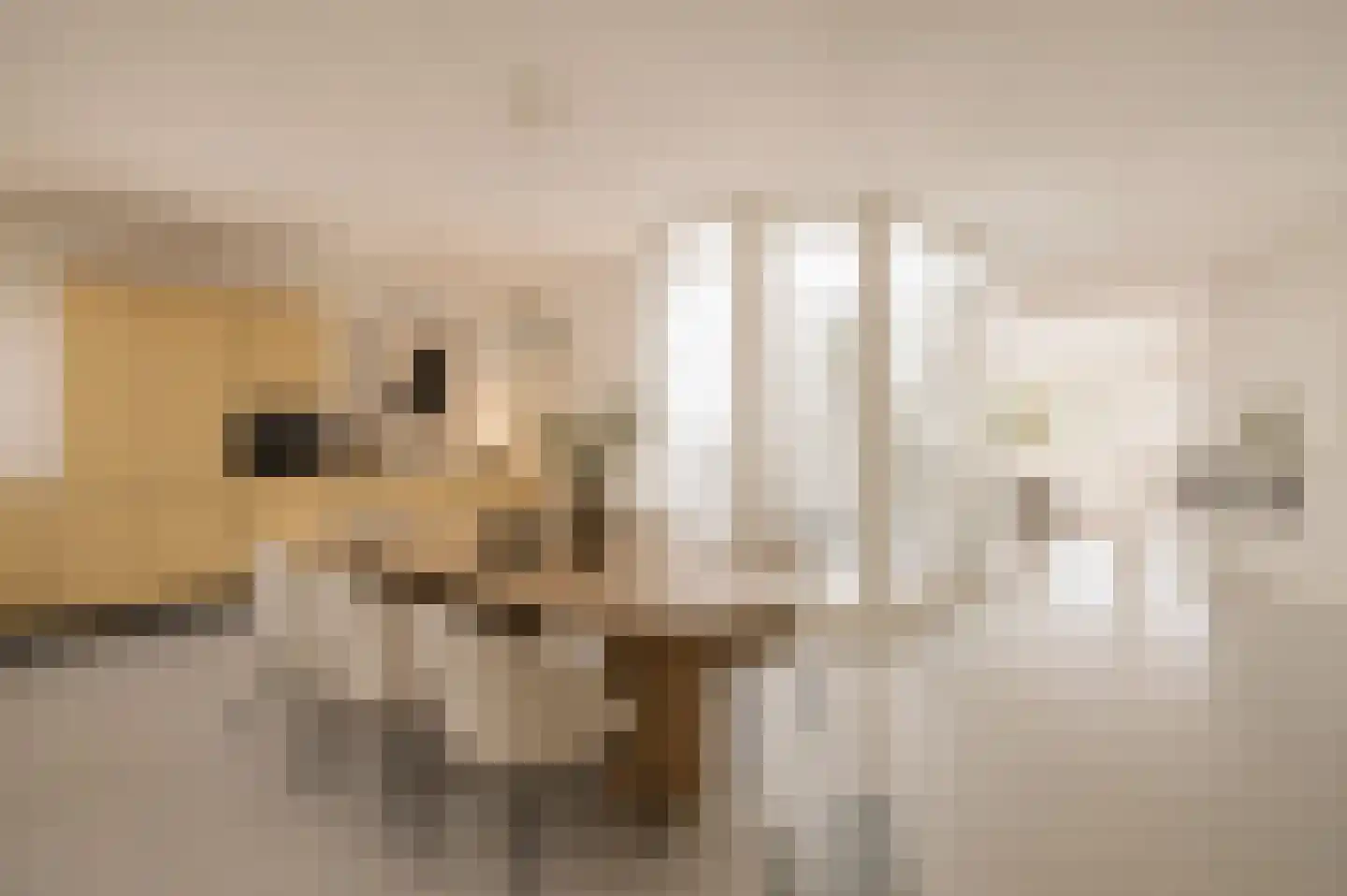 Nieuwezijds Voorburgwal 294 4 Amsterdam thumbnail 5