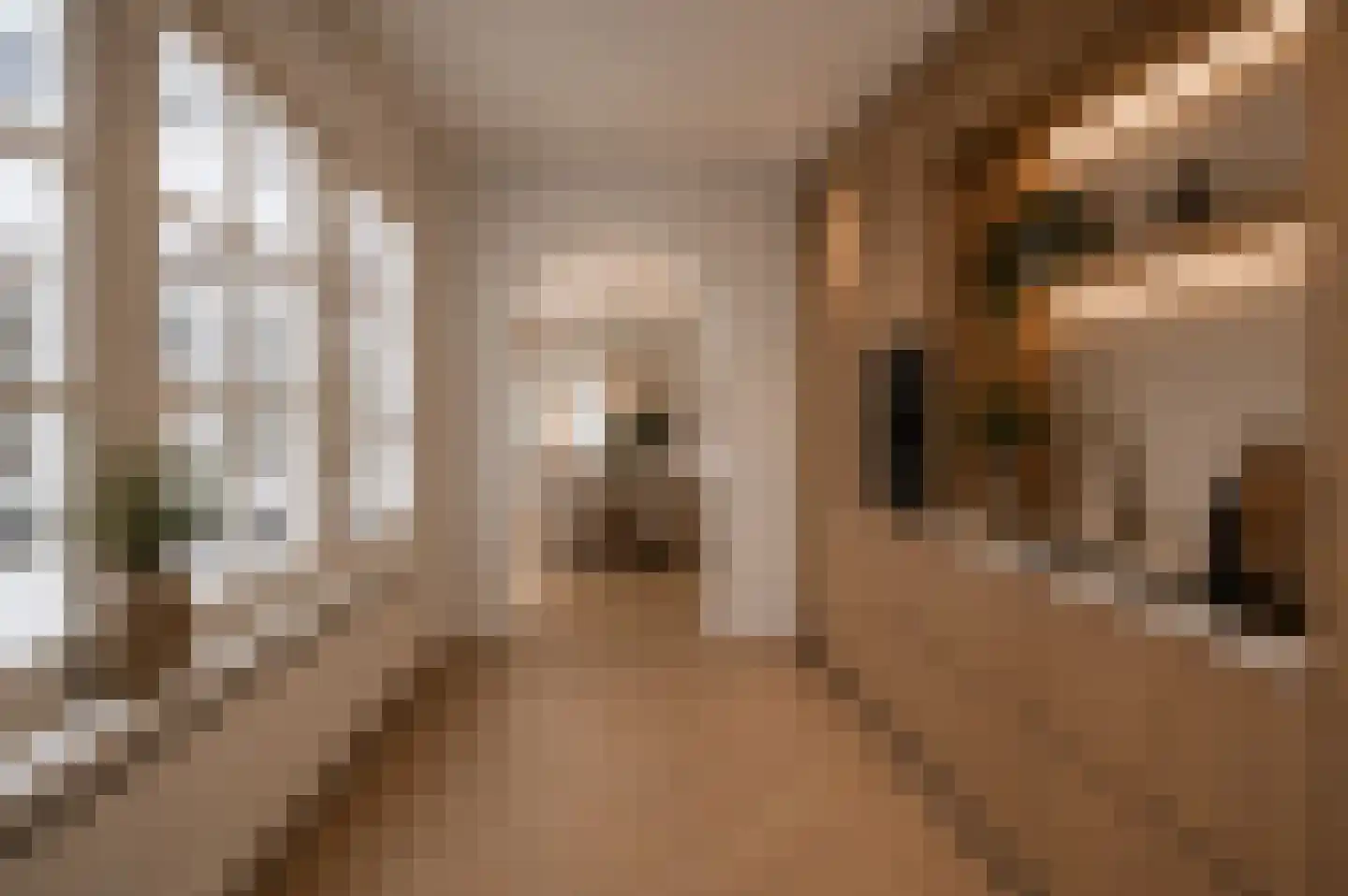 Nieuwezijds Voorburgwal 294 4 Amsterdam thumbnail 9