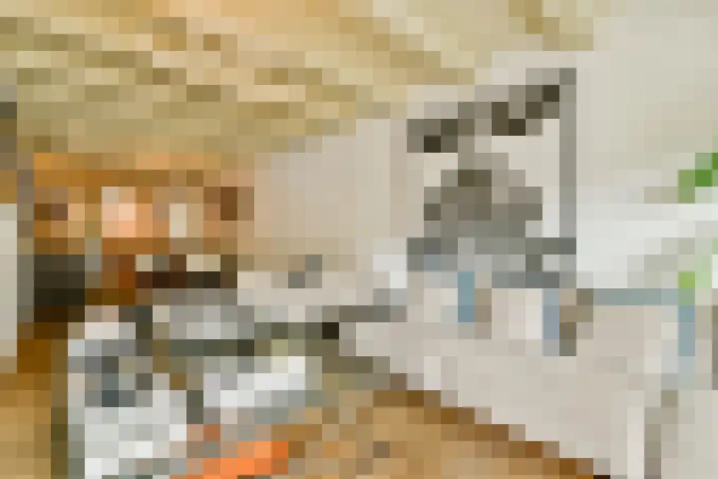 Nieuwezijds Voorburgwal 306 H Amsterdam thumbnail 4