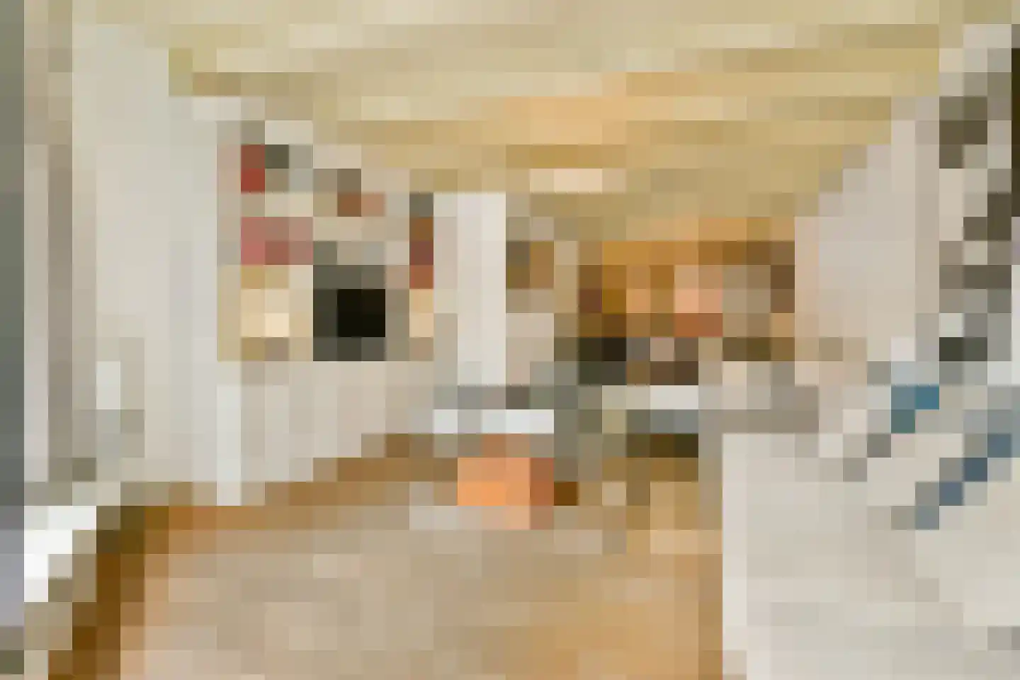 Nieuwezijds Voorburgwal 306 H Amsterdam thumbnail 7