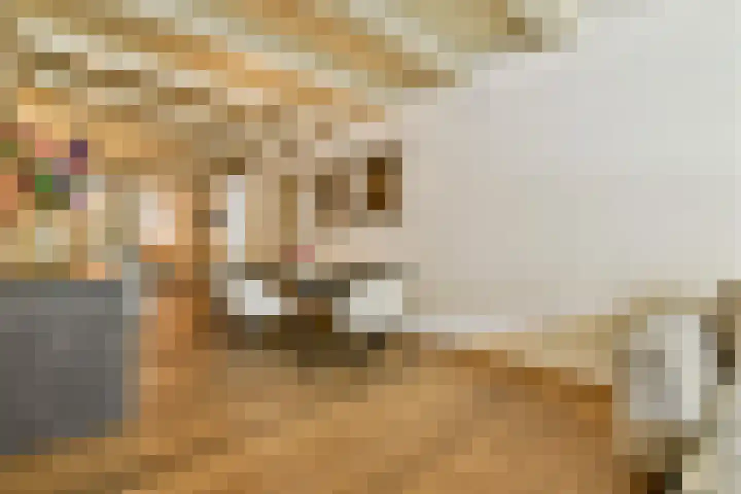 Nieuwezijds Voorburgwal 306 H Amsterdam thumbnail 8