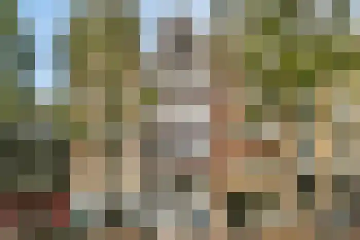 Nieuwezijds Voorburgwal 316 Amsterdam thumbnail 8