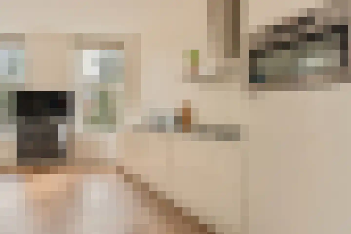 Nieuwezijds Voorburgwal 324 B Amsterdam thumbnail 12
