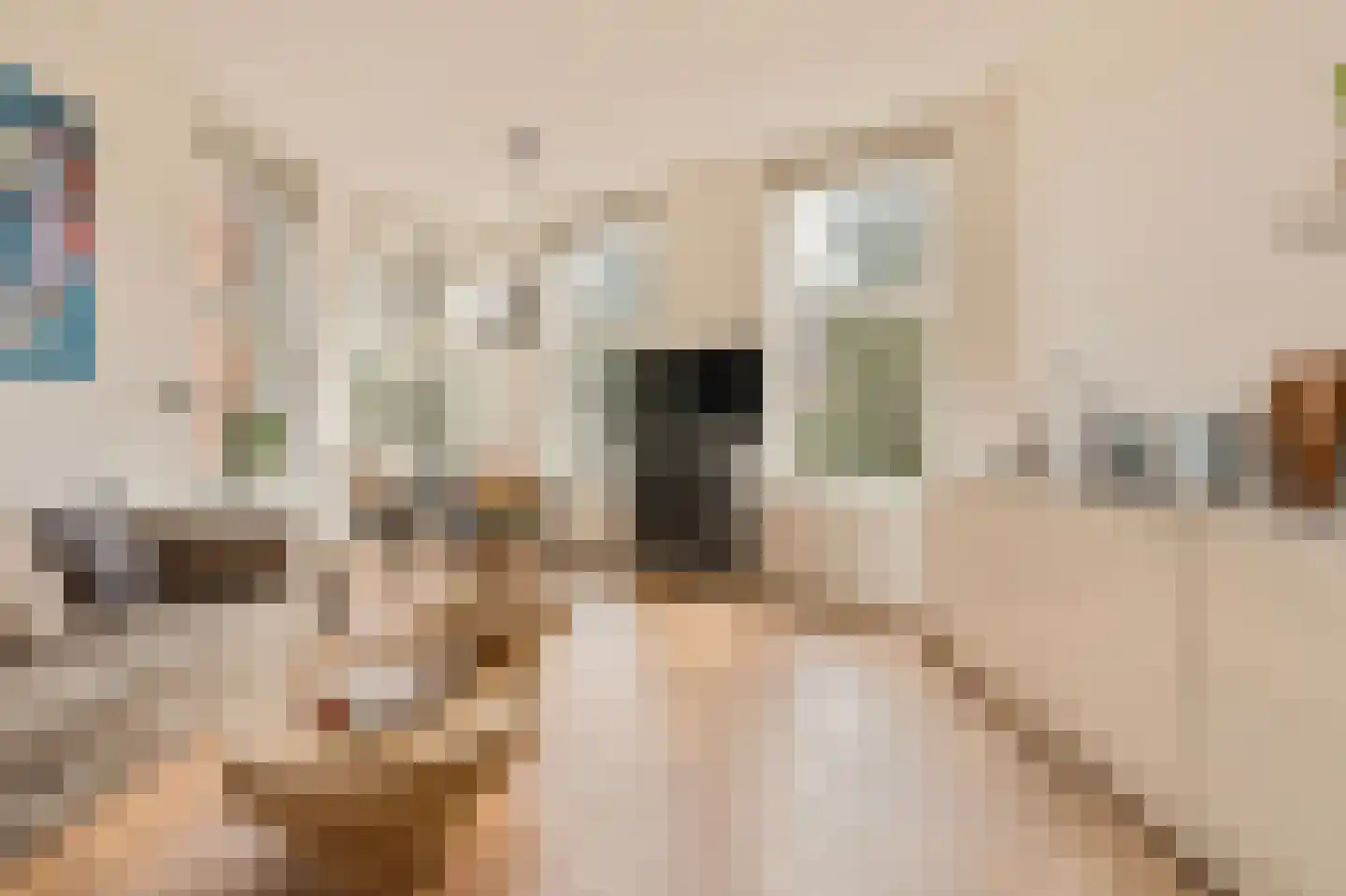 Nieuwezijds Voorburgwal 324 B Amsterdam thumbnail 4