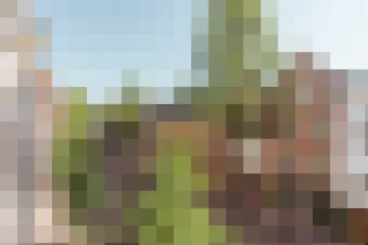 Nieuwezijds Voorburgwal 344 3 Amsterdam thumbnail 19