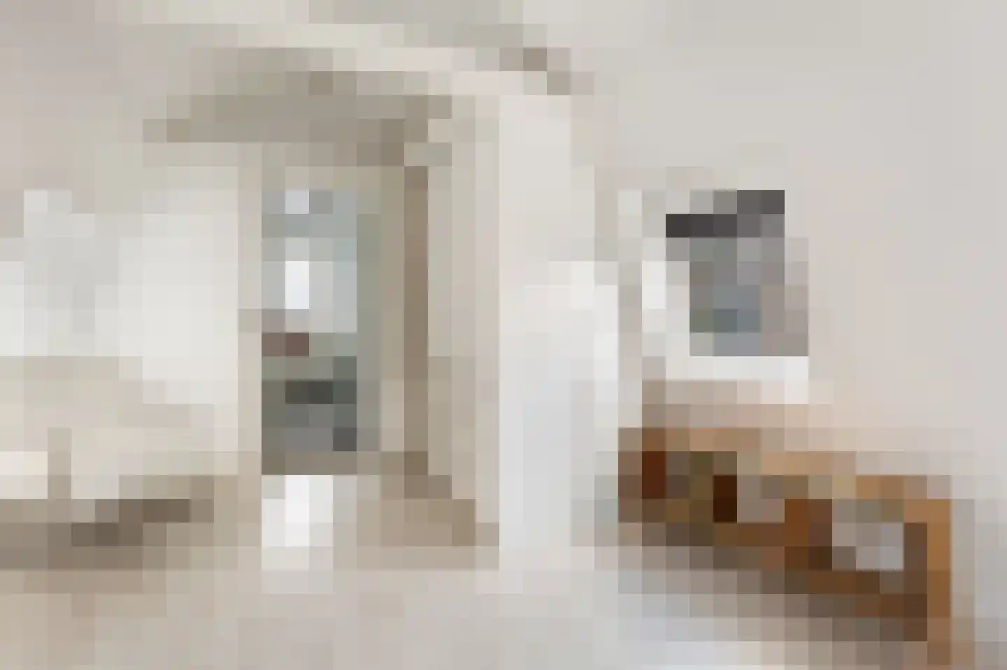 Nieuwezijds Voorburgwal 43 E Amsterdam thumbnail 21