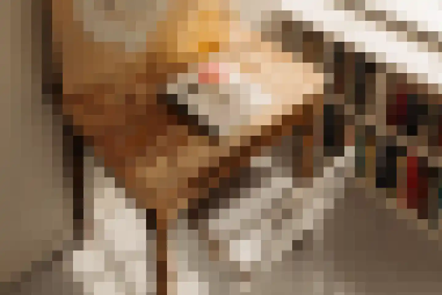 Nieuwezijds Voorburgwal 80 H Amsterdam thumbnail 12