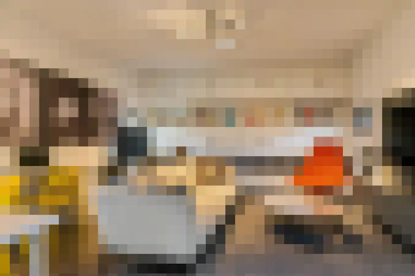 Nieuwhuis 2 Mierlo thumbnail 10