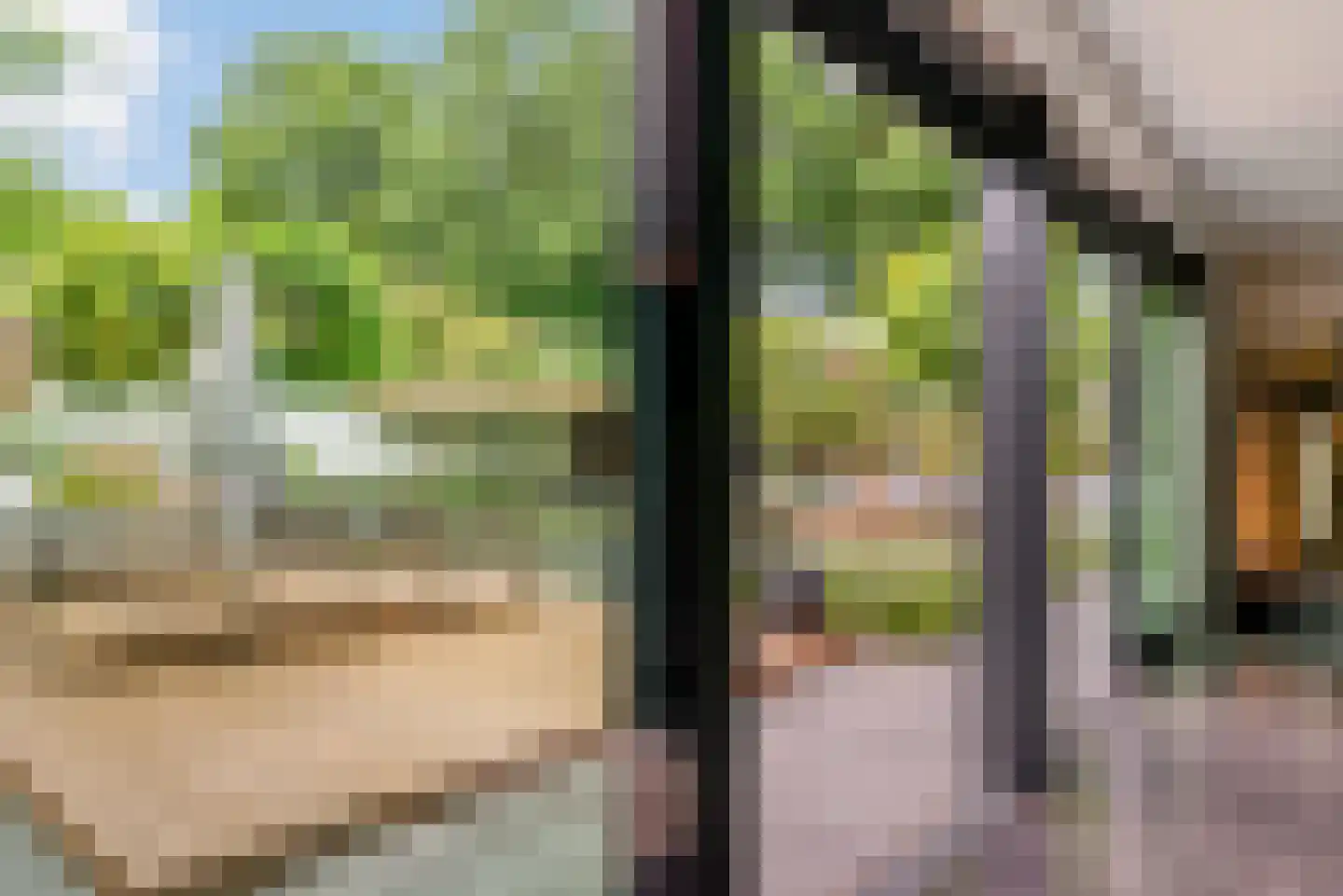 Nieuwhuis 2 Mierlo thumbnail 12