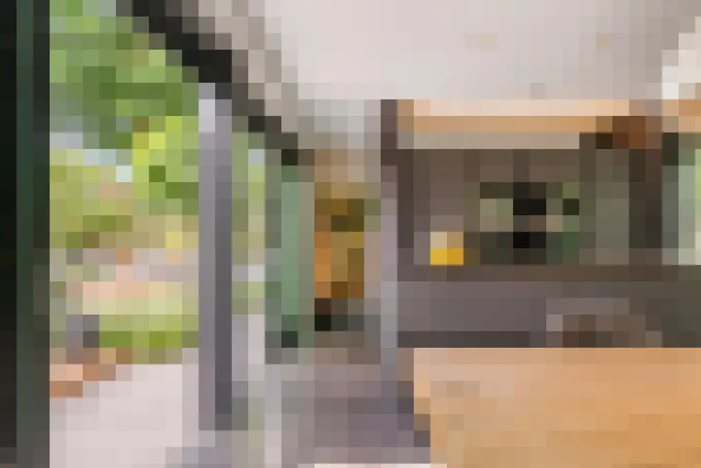 Nieuwhuis 2 Mierlo thumbnail 13