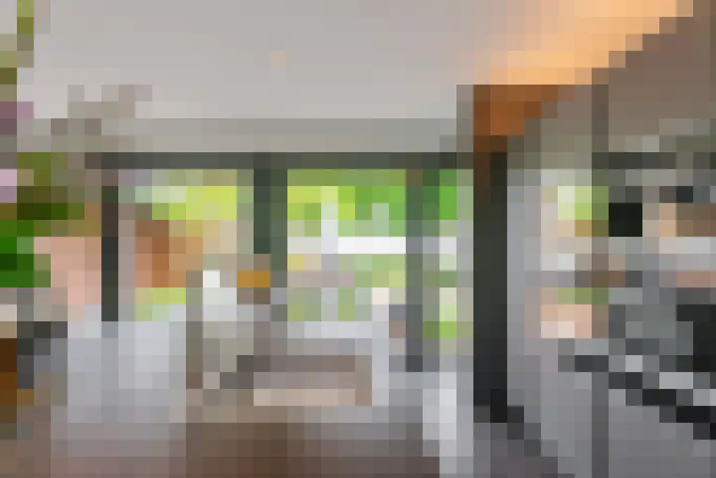 Nieuwhuis 2 Mierlo thumbnail 16